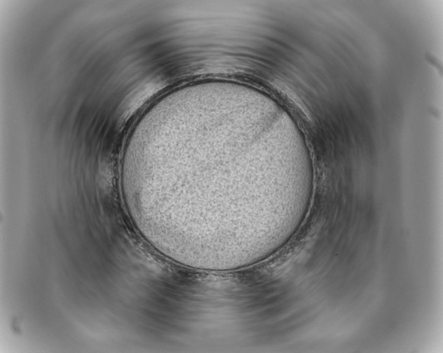 X0000096210874200802011319