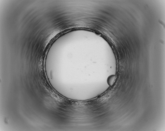 X0000096210875200802011319