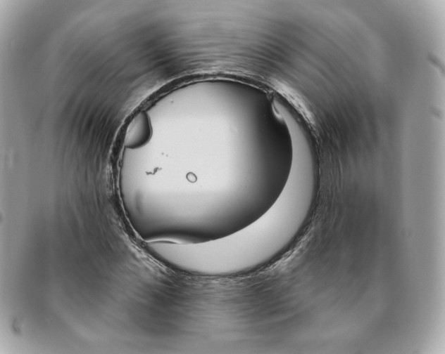 X0000096210876200802011319