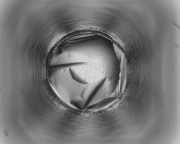 X0000096210877200802011319