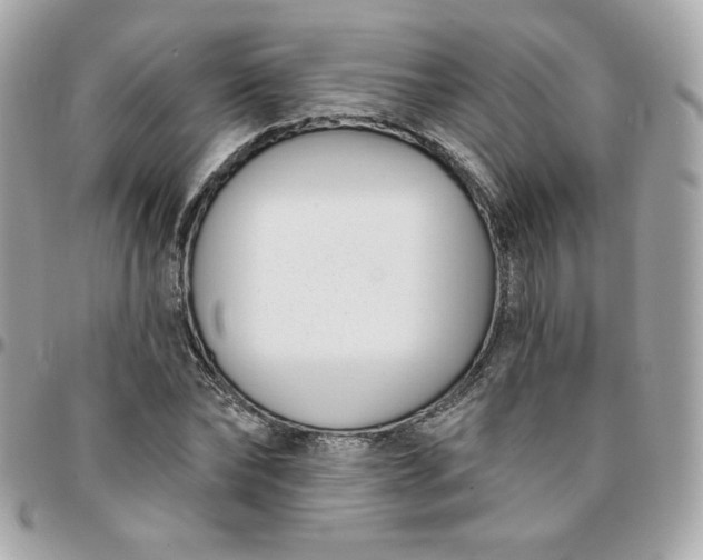 X0000096210878200802011319