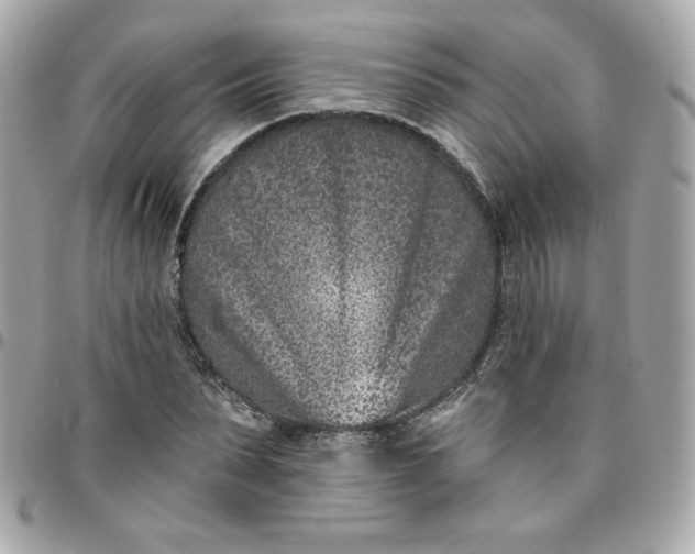 X0000096210879200802011319