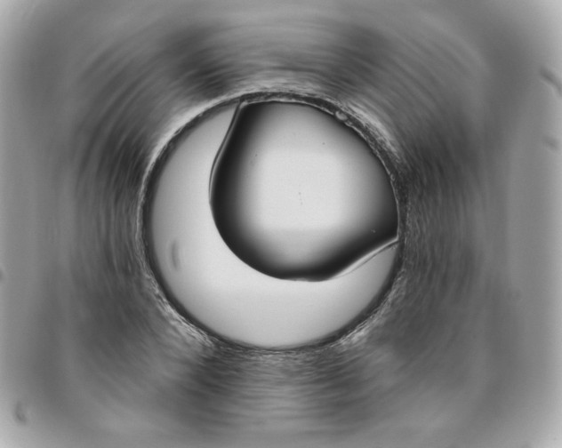 X0000096210880200802011319