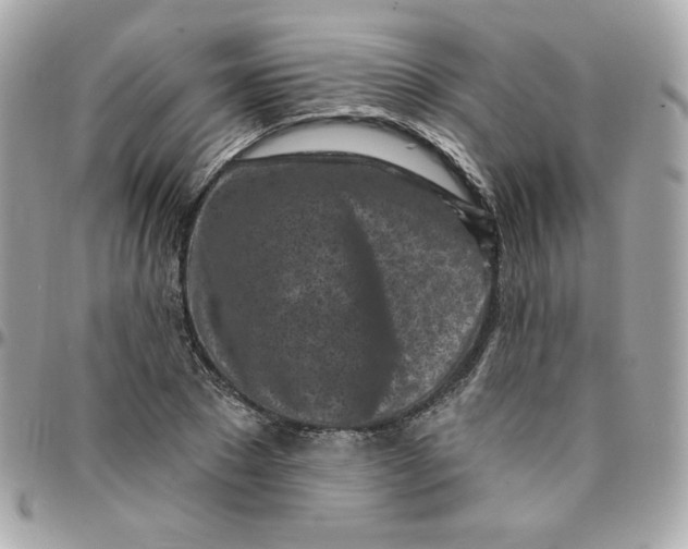 X0000096210881200802011319