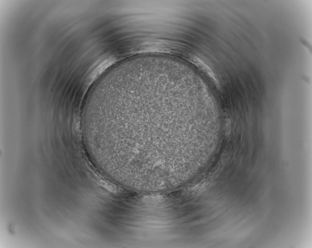 X0000096210882200802011319