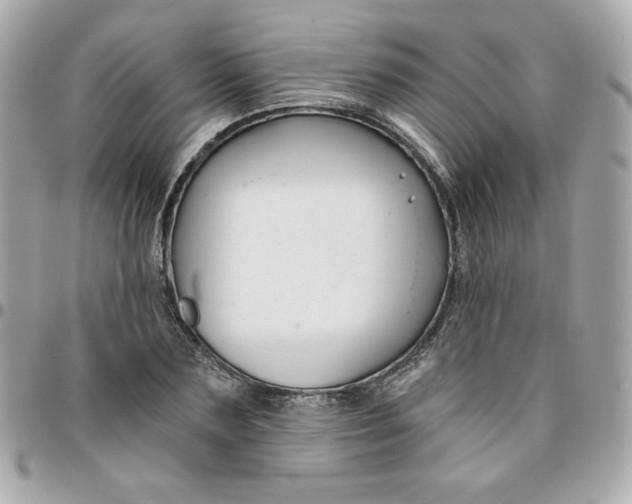 X0000096210883200802011319