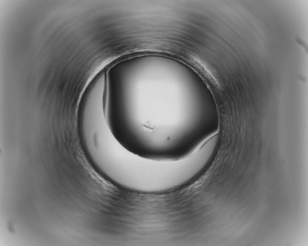 X0000096210884200802011319