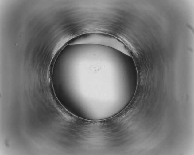 X0000096210885200802011319