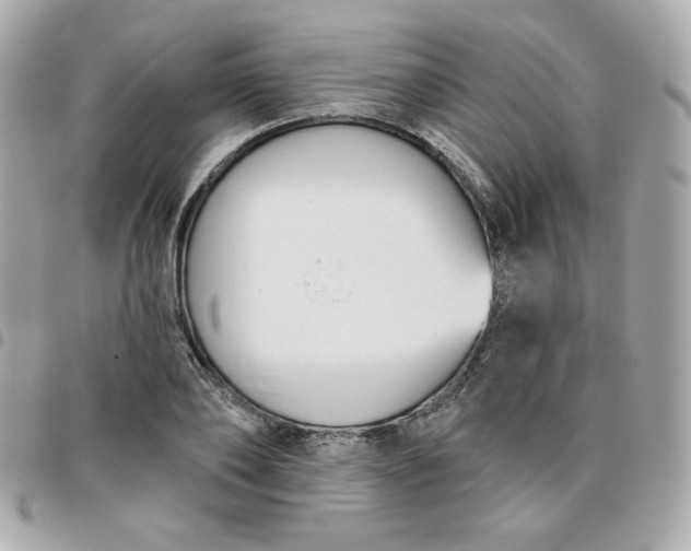 X0000096210886200802011319