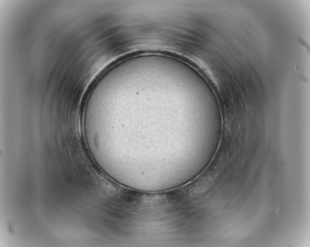 X0000096210887200802011319