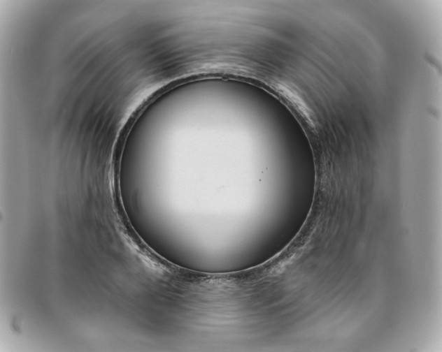 X0000096210888200802011319