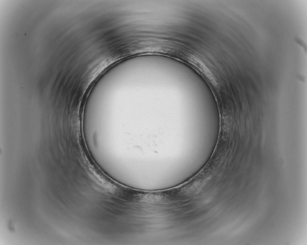 X0000096210890200802011319