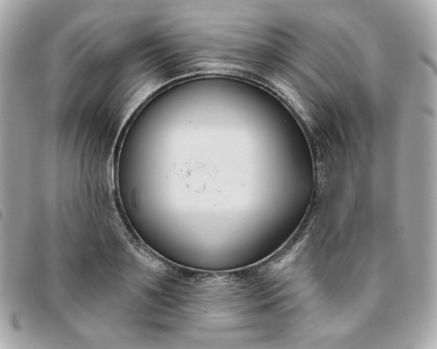 X0000096210891200802011319