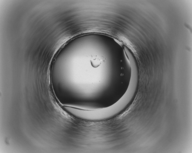 X0000096210892200802011319