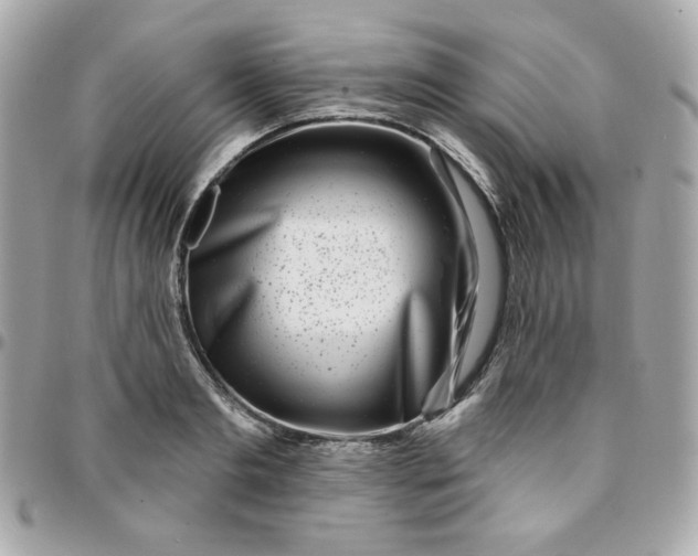 X0000096210893200802011319