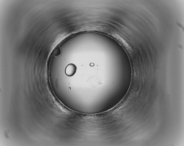 X0000096210894200802011319