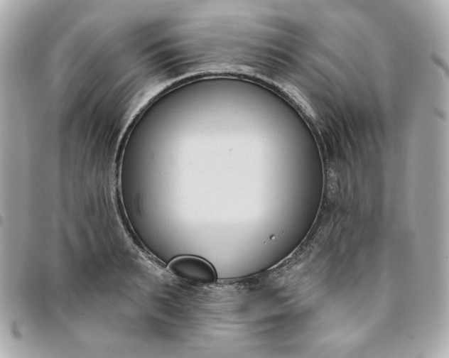 X0000096210895200802011319