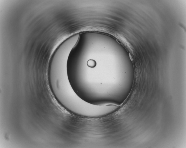 X0000096210896200802011319