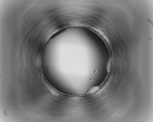 X0000096210897200802011319