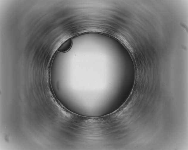 X0000096210898200802011319