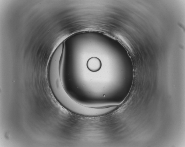 X0000096210900200802011319