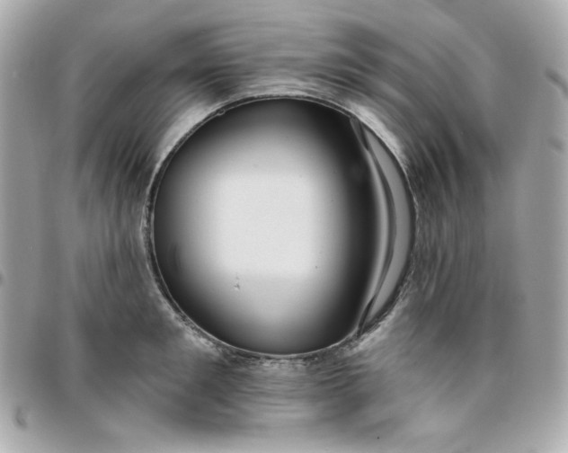 X0000096210901200802011319