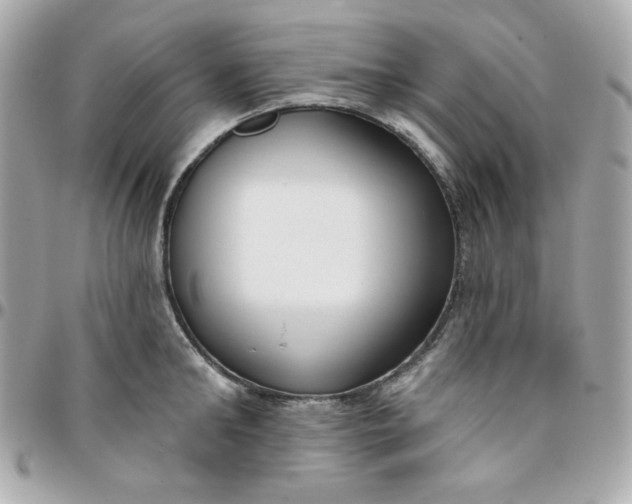 X0000096210902200802011318