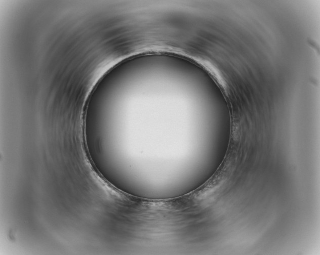 X0000096210903200802011318