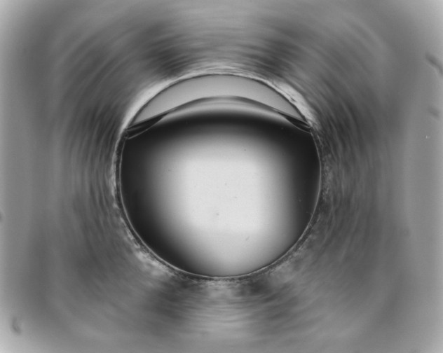 X0000096210904200802011318