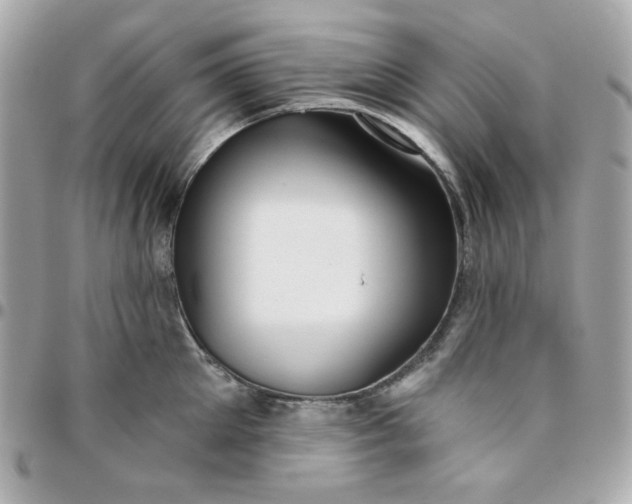 X0000096210905200802011318