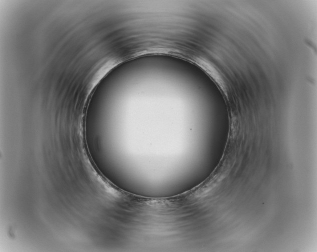 X0000096210906200802011318