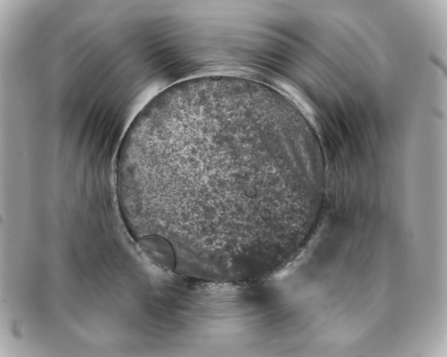 X0000096210907200802011318