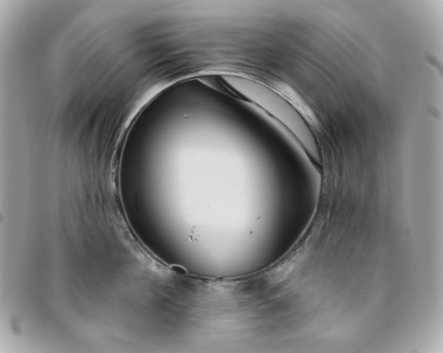 X0000096210908200802011318