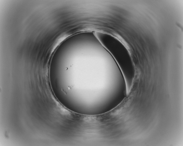 X0000096210909200802011318