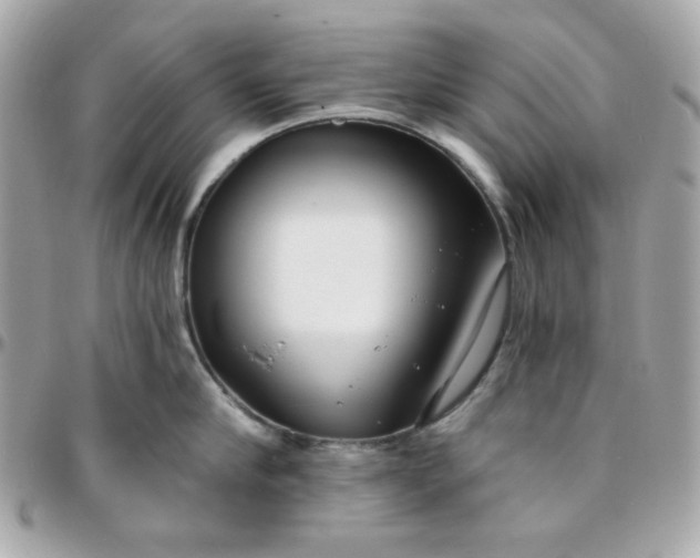 X0000096210910200802011318