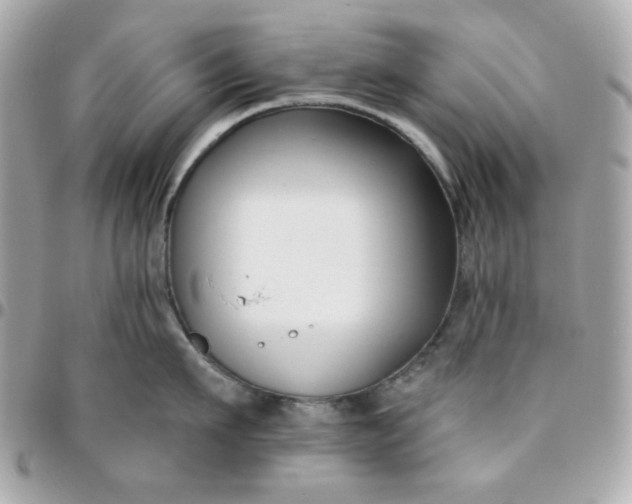 X0000096210911200802011318