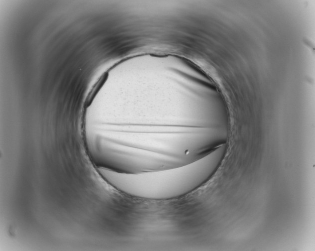 X0000096210912200802011318