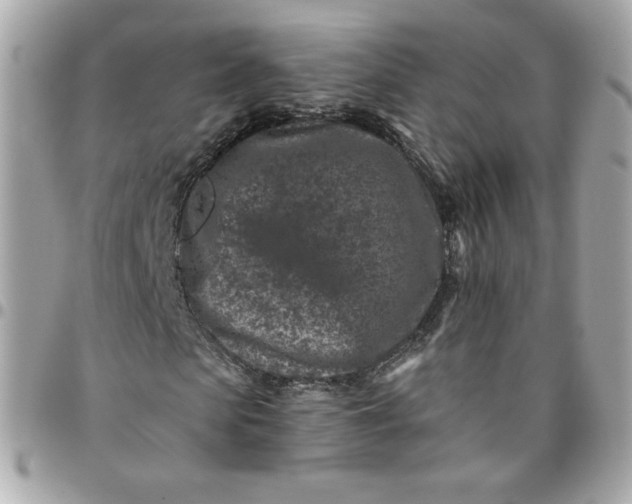 X0000096210913200802011318