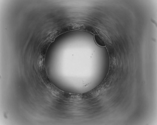 X0000096210914200802011318