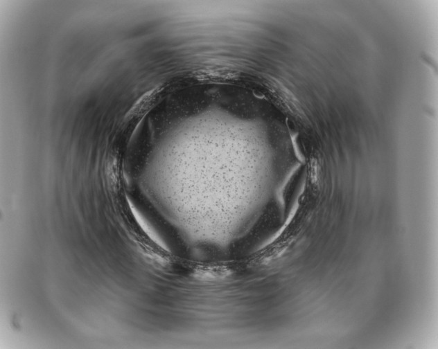 X0000096210915200802011318