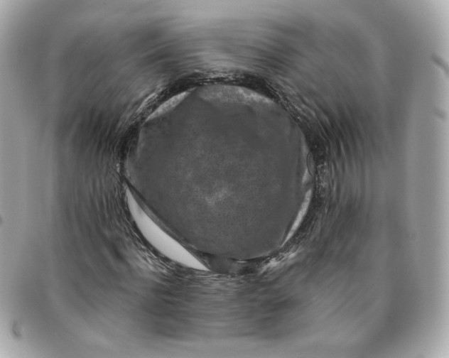 X0000096210916200802011318