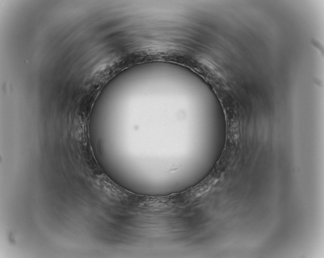 X0000096210917200802011318