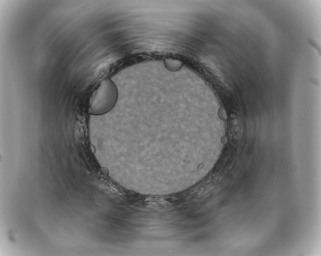 X0000096210918200802011318