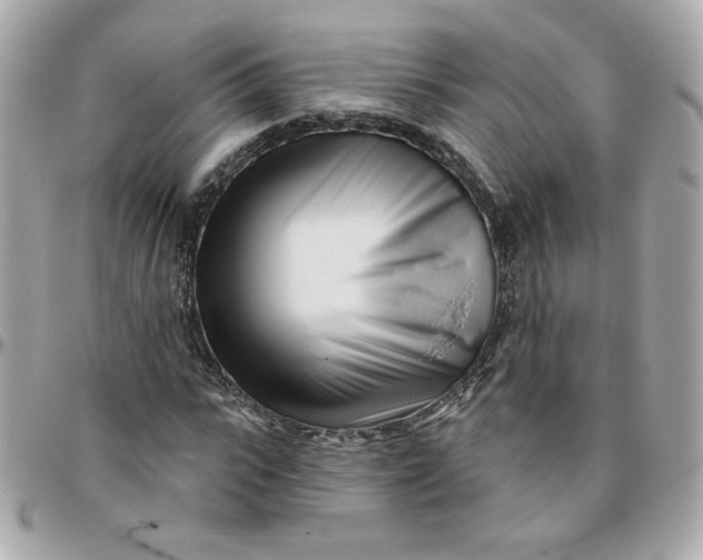 X0000096210919200802011318