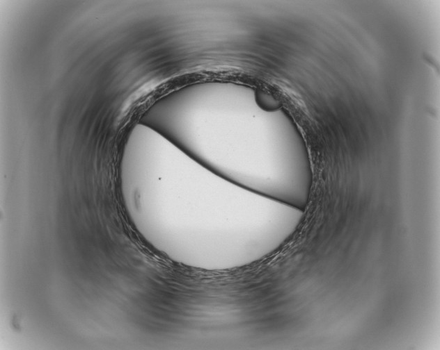 X0000096210920200802011318