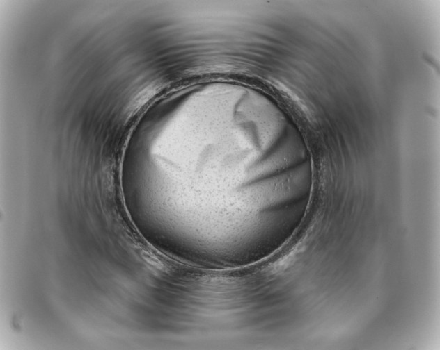 X0000096210921200802011318