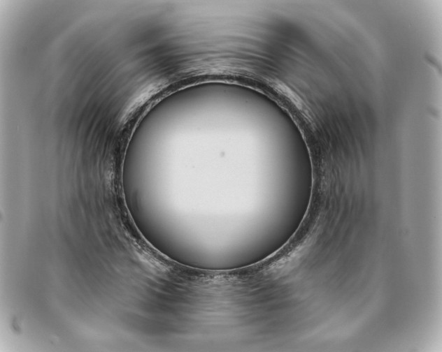 X0000096210922200802011318