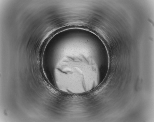 X0000096210923200802011318