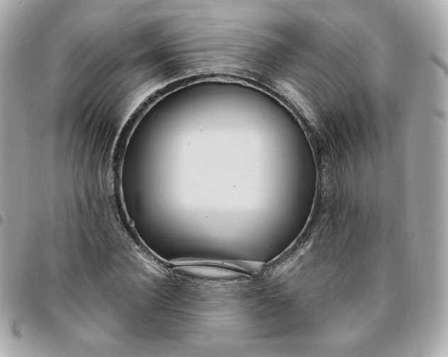 X0000096210924200802011318