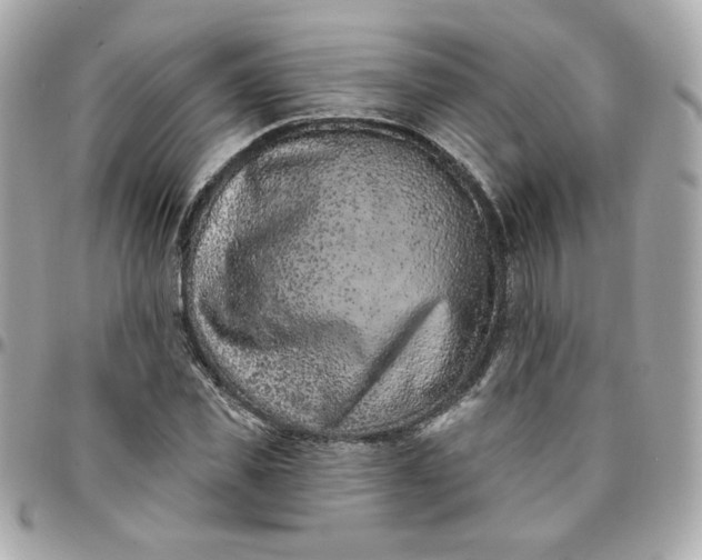 X0000096210925200802011318